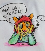 stoned