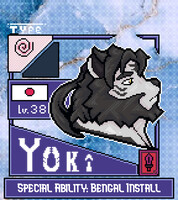 PIXEL WARRIOR 12 Yoki