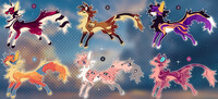 Adopt fix $10 / Open