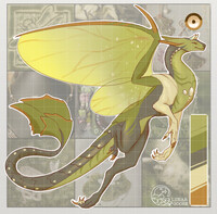 Adoptable dragon auction