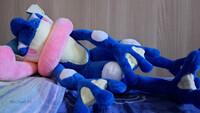 My giant plush Greninja