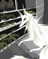 white dog looking at the garden