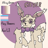 SILVER ! My Pokemon oc !
