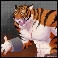 tiger warrior zoom x1
