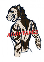 Adopt Auction