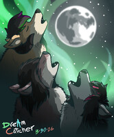 Three Coyote Moon