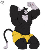 [NMA] Gaining by ElecRailVic