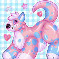 Squeaky Teddy
