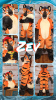 Zev Fursuit