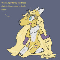 [IRAM] Renamon gets a headshave!