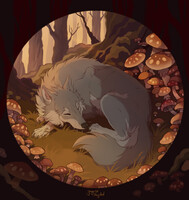 🍄 Dream circle 🍄