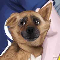 Caramelo - Commission