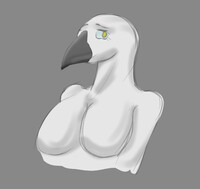 birb sketch