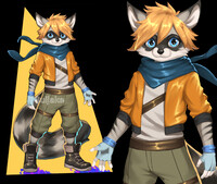 /Adopt - Raccoon/