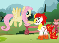 FlutterBlaze Screenshot Edit