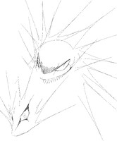 gengar and other idiot