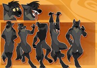 Steppenwolf - Wild 'n Free Shepherd ($40 Adopt)