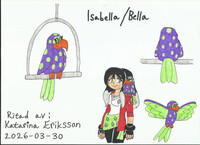 Isabella the Parrot