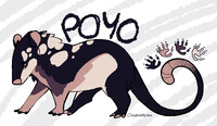 Adoptable - Poyo