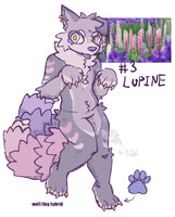3: lupine