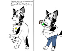 How I make my hind paws more hand-like