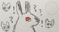 rabbit's kitty adventure