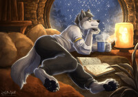 A Cozy Night