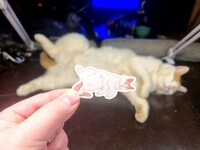 Just like the sticker 🐾