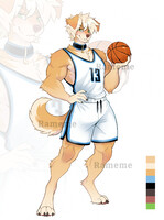 auction Golden retriever basketball player