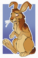 anxiety disorder haver [$]