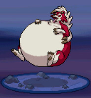 [Trade] Poofy Midnight Lycanroc