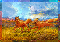 Through the fields