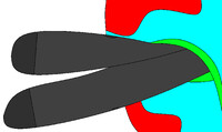 A Pair of Socks Inside a Snake's Coils