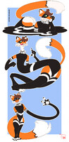 Elastifox!