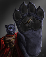 YCH Inspection of paws for diegotispiego