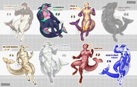 ADOPT REMINDER - Colourful Dolphins! [5/8]