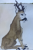 Elder roe deer