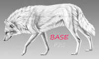 BASE - Wolf