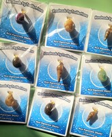 Real aquarium shell charms!
