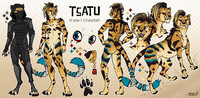 Tsatu 🐆  reference sheet
