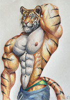 Tiger [Color pencil practise]