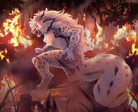 ✦ The fury of a feline ✦