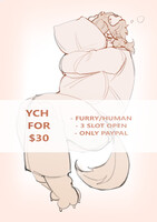 YCH PILLOW  [OPEN]