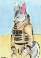 Bomb suit Fenticktimsky gift art from northwestspiritwolf