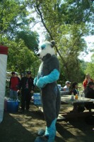Fc picnic 2012 - one