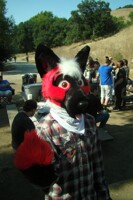 Fc picnic 2012 - no, F$@% YOU! 2