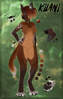 Kilani Reference
