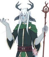 DnD Firbolg Druid Luka