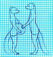 Ferret Ref–Mayternity 2, 2026