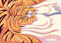 Fatty Tabby